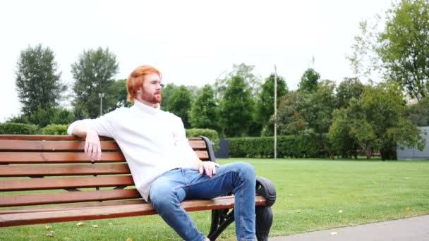 Человек, сидящий в парке на скамейке, рыжие волосы и борода — стоковое видео