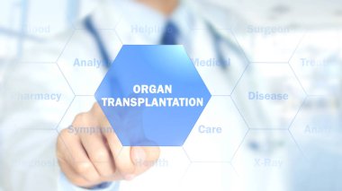Organ nakli, holografik arayüzü, hareketli grafikler üzerinde çalışan doktor