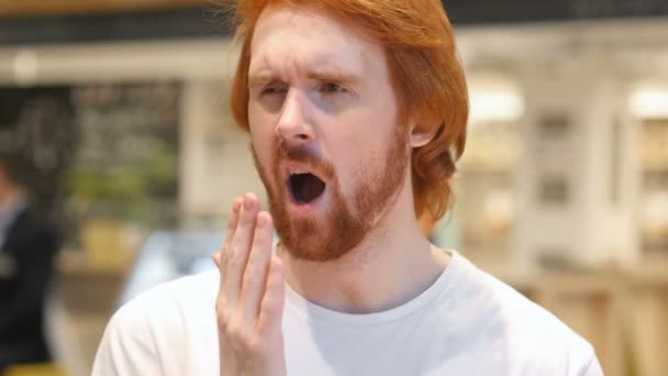 Moe Redhead baard Man geeuwen in Cafe, binnen — Stockvideo