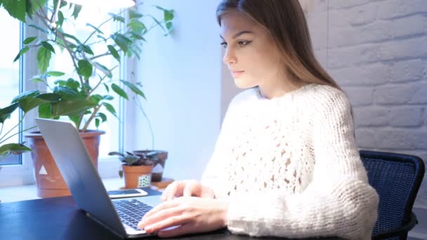 Boldog nő ünnepli a sikert, mint működő-ra Laptop — Stock videók
