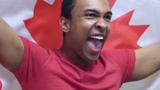 Ventilador canadense comemorando enquanto segura a bandeira do Canadá em câmera lenta — Vídeo de Stock