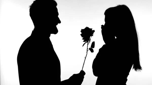 Die Silhouette eines Mannes, der einer hübschen Frau vor weißem Hintergrund eine Rose schenkt — Stockfoto