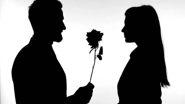 Силуэт мужчины, дающего розу прекрасной женщине на белом фоне — стоковое фото