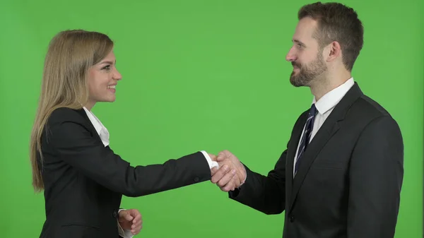 De mannelijke en vrouwelijke business professionals schudden handen tegen Chroma Key — Stockfoto