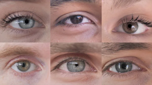 Die Collage blinkender Augen junger Menschen — Stockfoto