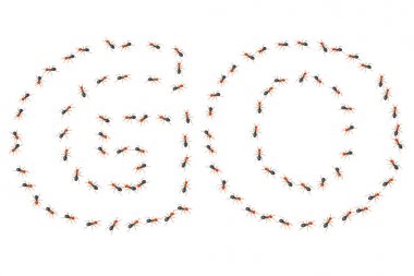 Ants.3d resimde grup tarafından oluşturulan sözler.