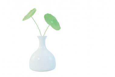 Küçük bitki vazo üzerinde beyaz background.3d illüstrasyon ile.
