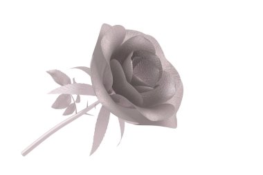 Rose silver.3d çizimi yaptı.