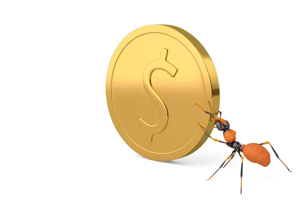 Une fourmi avec des pièces d'or.Illustration 3D . — Photo