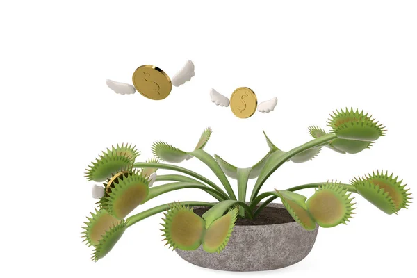 Flytrap con monedas de oro voladoras.Ilustración 3D . —  Fotos de Stock