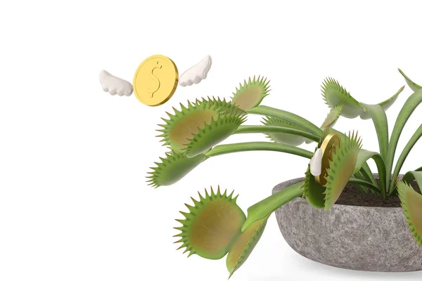 Flytrap con monedas de oro voladoras.Ilustración 3D . —  Fotos de Stock