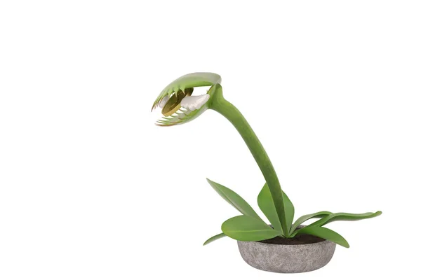 Flytrap with flying gold coins.3D illustration. — Stock Photo, Image
