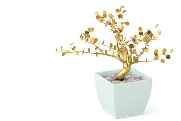 A tree and pot on white background.3D illustration. — Stock Photo, Image