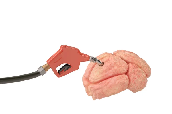 Gasoline pump inserted in the brain.3D illustration. — Stock Photo, Image