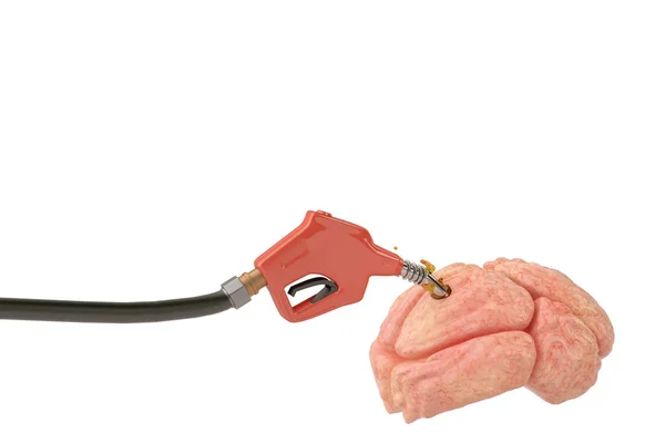 Bomba de gasolina insertada en el cerebro.Ilustración 3D . —  Fotos de Stock