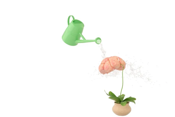 Водопостачання горщиків посипає воду до рослин і мозку.3D ілюстрація — стокове фото