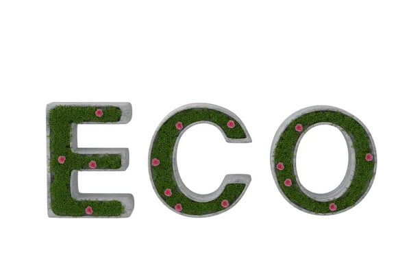 Leaves and roses on the ECO letter.3D illustration. — Stock Photo, Image