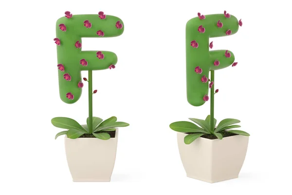 Alfabeto vegetal F y maceta de flores. Ilustración 3D . — Foto de Stock