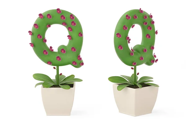 Plant alphabet Q and flowerpot.3D illustration. — Stock Photo, Image