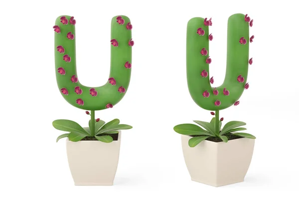 Plant alphabet U and flowerpot.3D illustration. — Stock Photo, Image