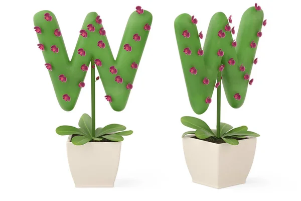 Plant alphabet W and flowerpot.3D illustration. — Stock Photo, Image