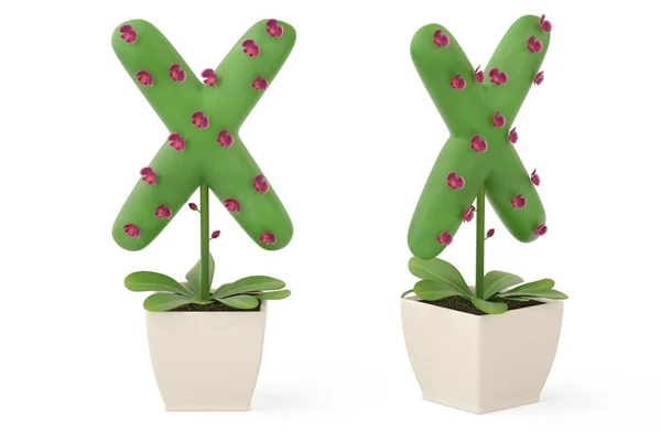 Plant alphabet X and flowerpot.3D illustration. — Stock Photo, Image