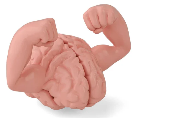 Hjärna och muskler starka hjärnan 3d illustration — Stockfoto