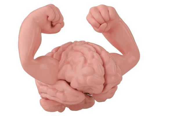 Cérebro e músculo forte cérebro ilustração 3D — Fotografia de Stock