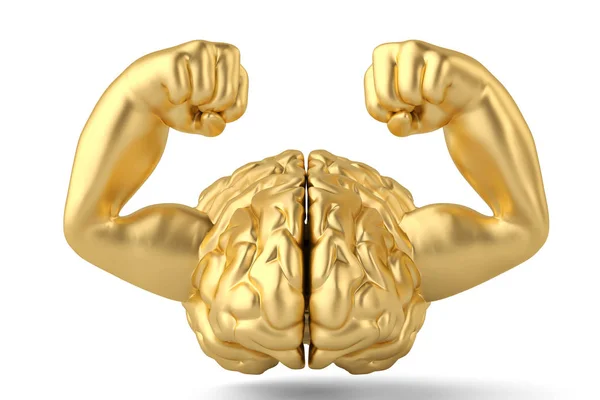 Strong gold brain and muscle brain 3D illustration — Stock Photo, Image