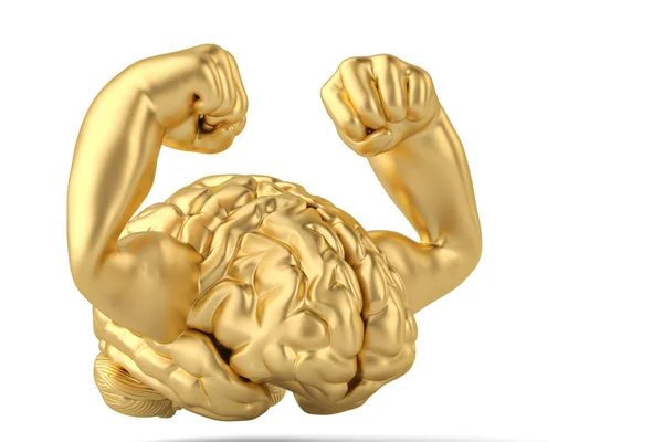 Strong gold brain and muscle brain 3D illustration — Stock Photo, Image