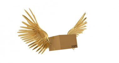 Box.3D resimde uçan altın kanatlı kutu.