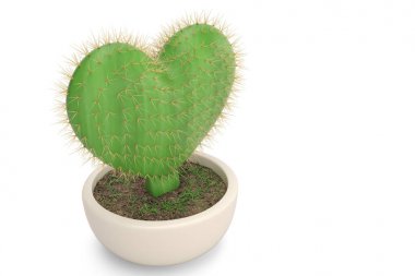 İnciri cactus.3d resimde bir kalp şeklinde.