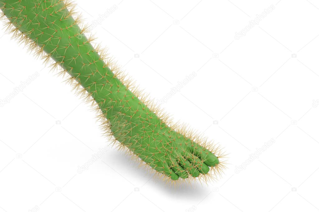 Foot cactus on white background.3D illustration.