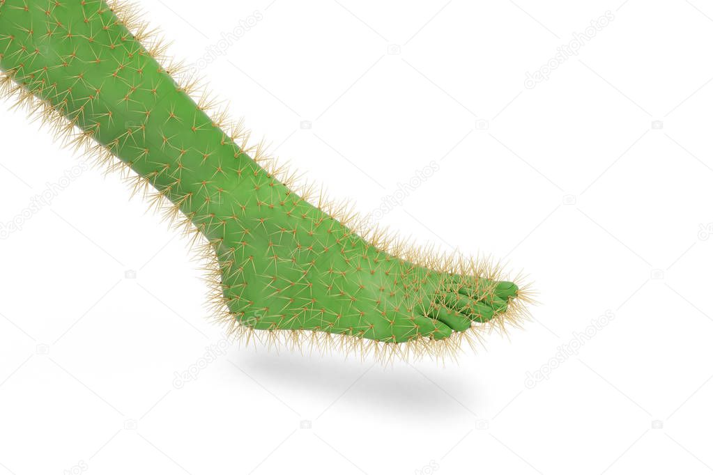 Foot cactus on white background.3D illustration.