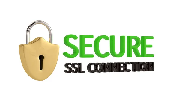 Shield lock ssl design sicuro isolato su sfondo bianco. 3D i — Foto Stock