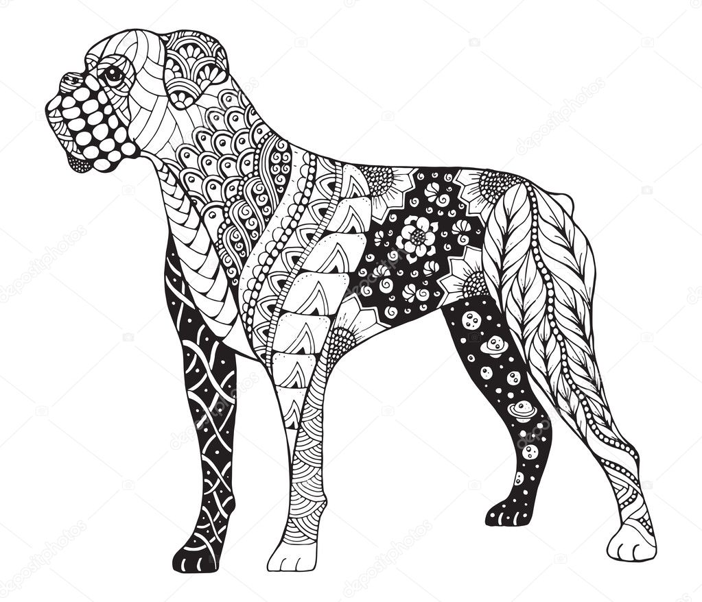 Boxer dog zentangle stylized, vector, illustration, freehand pencil, hand drawn, pattern. Zen art. Ornate vector. Lace.