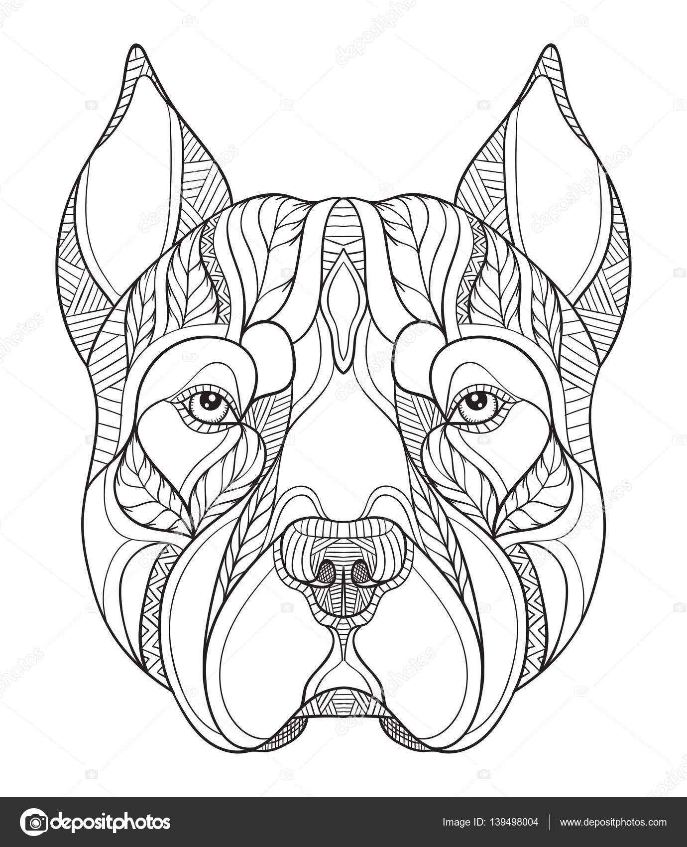 Pit bull terrier zentangle tªte stylisée vecteur illustration crayon   main levée dessinés   la main motif Art Zen Vecteur de l orner Dentelle