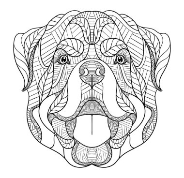 Rottweiler köpek zentangle, doodle stilize kafa, elle çizilmiş, desen. Zen sanat. Süslü vektör. Beyaz arka planda siyah beyaz resim.