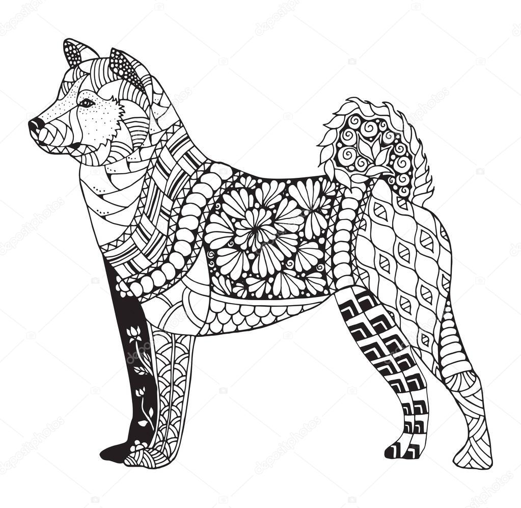 Akita dog zentangle stylized, vector, illustration, freehand pencil, hand drawn, pattern. Zen art. Black and white illustration on white background