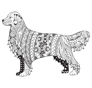 Golden retriever köpek zentangle stilize, vektör, illüstrasyon, el yapımı kalem, desen. Zen sanat. Beyaz arka planda siyah ve beyaz resim. Yetişkin anti-stres boyama kitabı. 