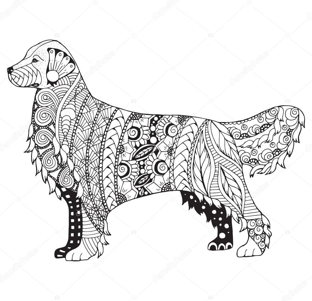 Golden retriever dog zentangle stylized, vector, illustration, freehand pencil, pattern. Zen art. Black and white illustration on white background. Adult anti-stress coloring book. 