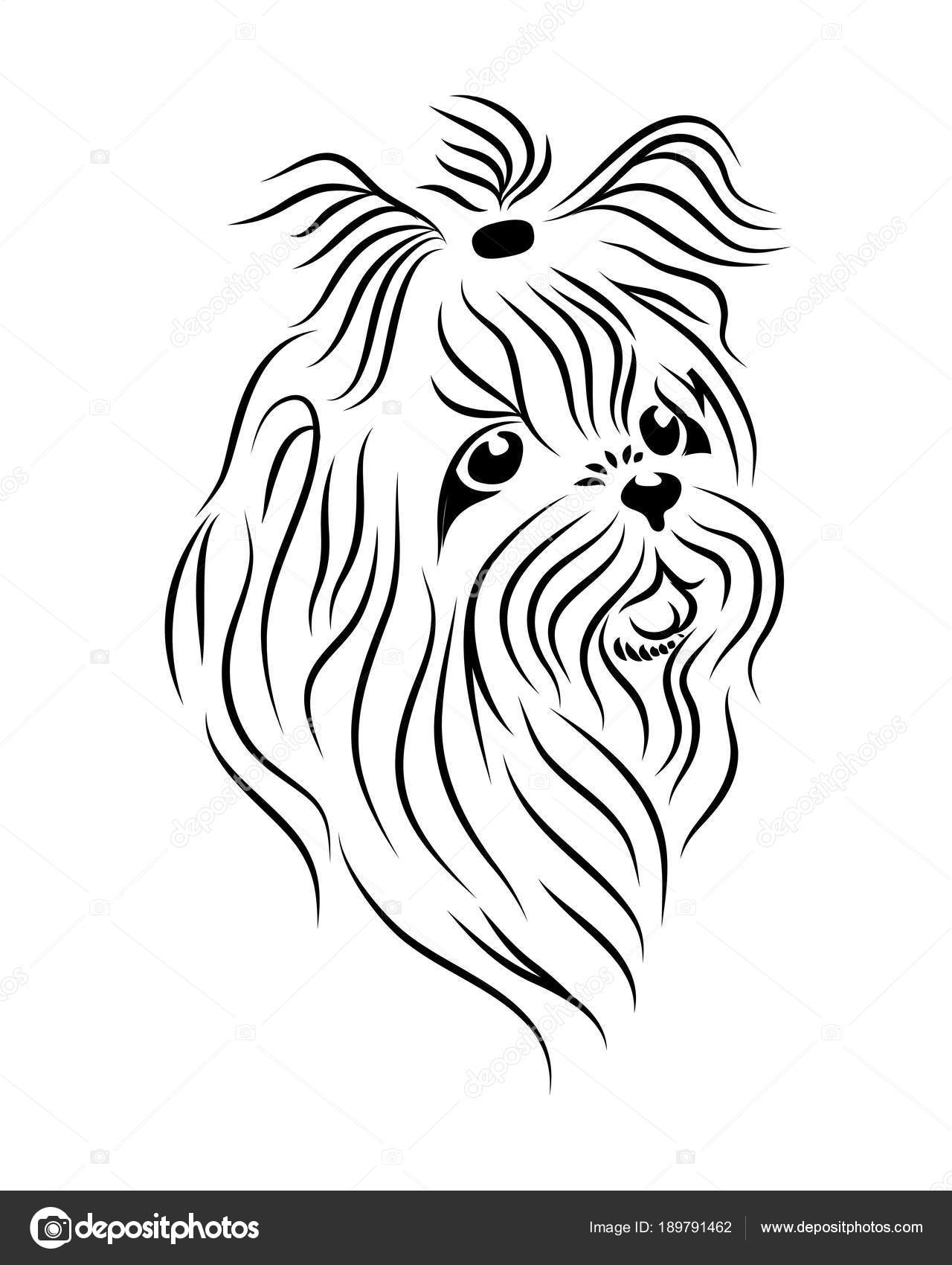 Shih Tzu dog line art, tribal. Freehand vector illustration. Stock Vector by ©RomanRoki 189791462