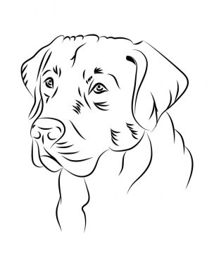 Labrador köpek Hat sanatı, kabile. Serbest çizim vektör çizim.