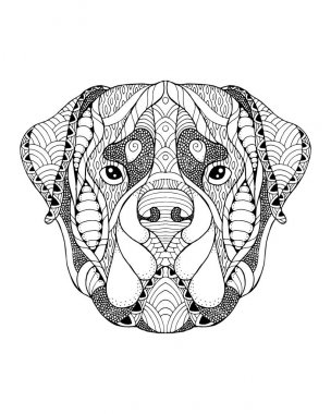 Rottweiler köpek zentangle stilize kafa. Serbest çizim vektör çizim.