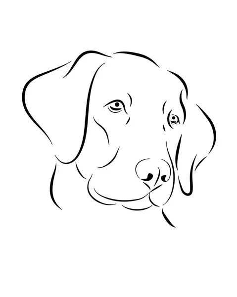 Labrador dog line art, tribal. Freehand vector illustration. — Stock Vector