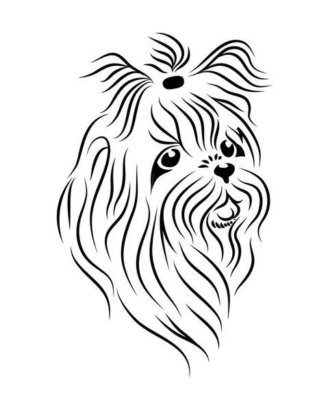 Arte de la línea de perros Shih Tzu, tribal. Ilustración del vector Freehand . — Vector de stock