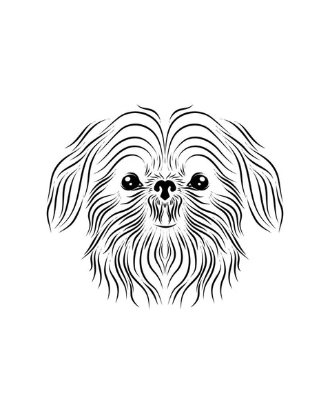 Shih tzu dog line art, tribal. Freihandvektorillustration. — Stockvektor