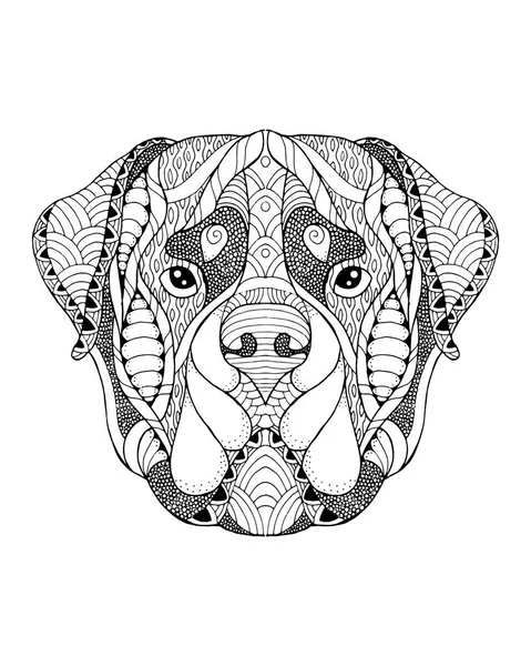 Rottweiler chien zentangle tête stylisée. Illustration vectorielle à main levée . Graphismes Vectoriels