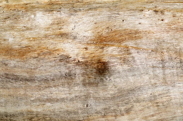 Texture of dry wood — Stock Photo, Image