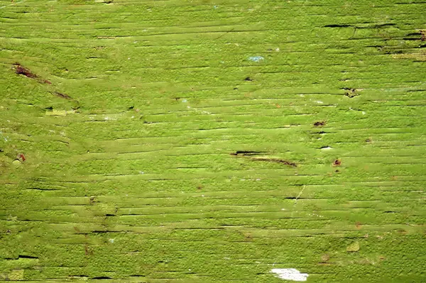 Eski bir ahşap yüzey ile yeşil boya boyalı